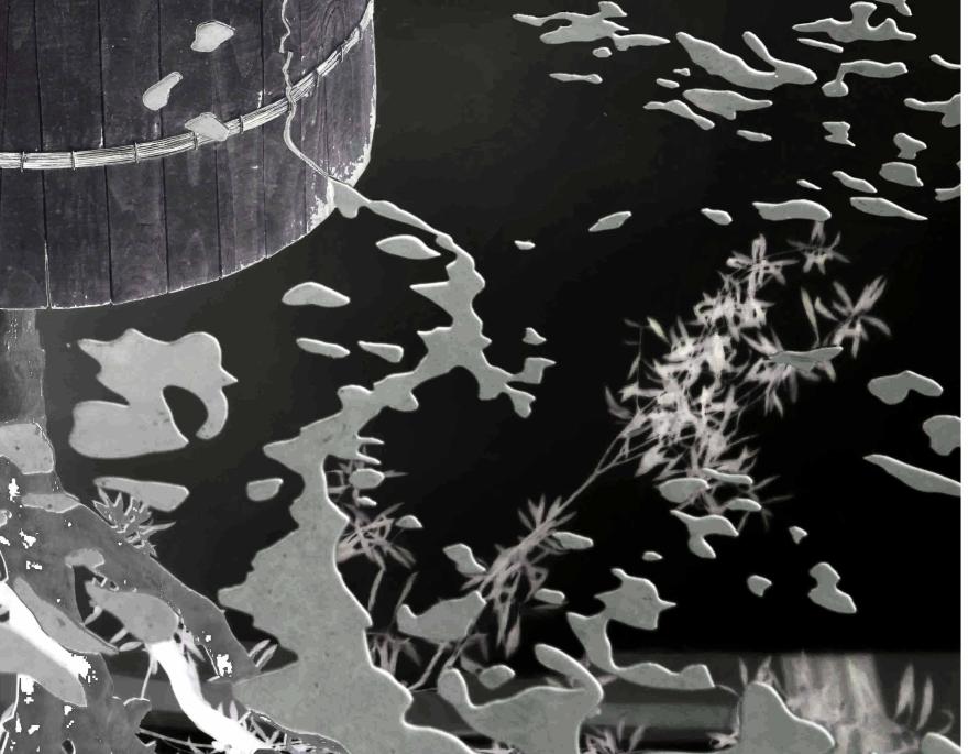 Media Name: lombre_dun_olivier_recadree_2.jpg