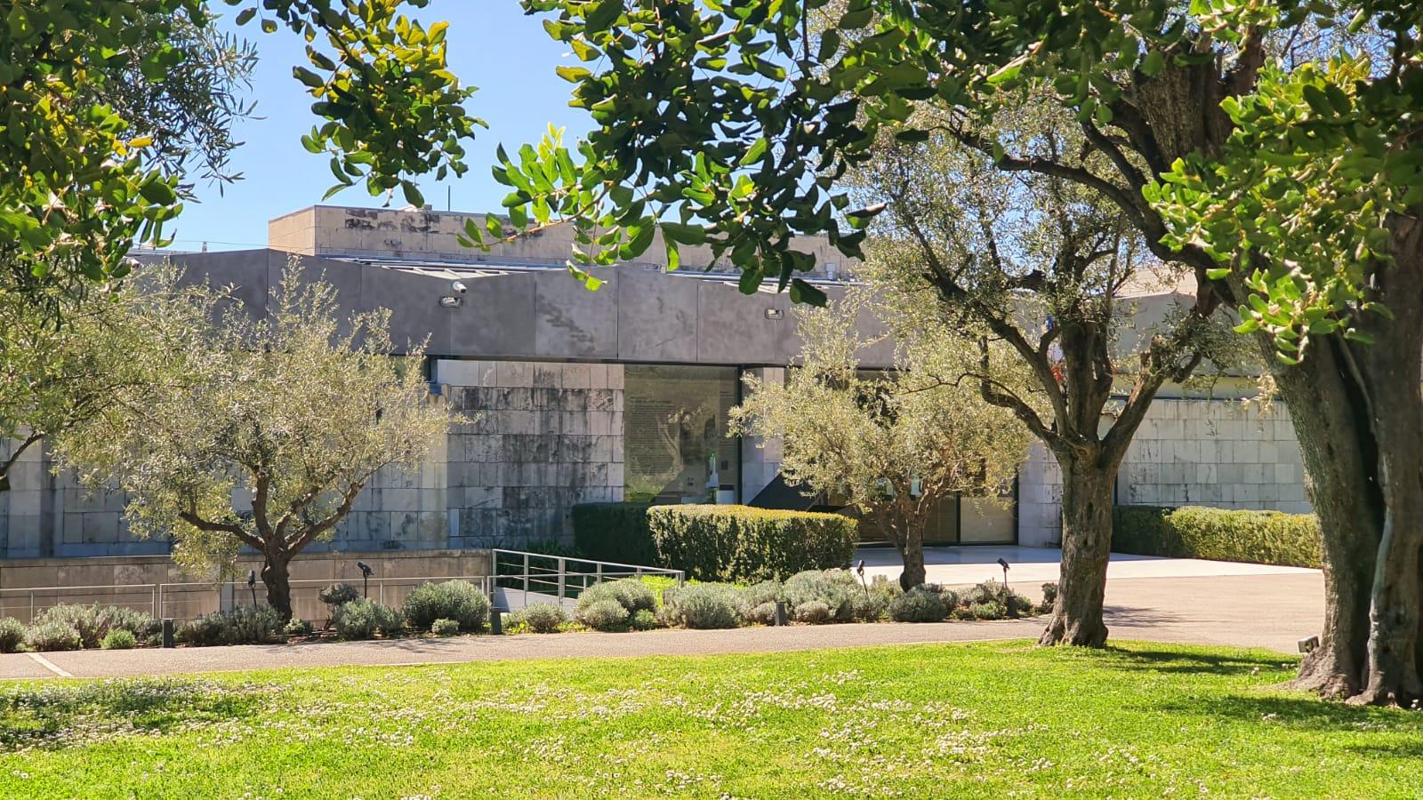 Vue sur la façade du musée Chagall, bâtiment contemporain en pierre entouré d'oliviers et d'une pelouse verdoyante sous un ciel bleu