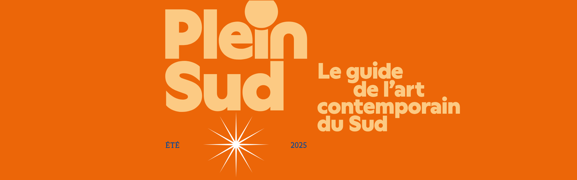 Image graphique présentant le réseau Plain Sud