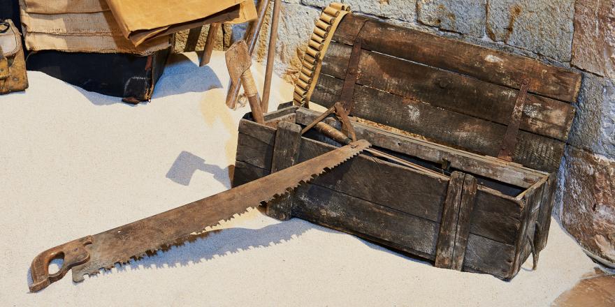 Mark Dion, Tropical Collectors, détail. Installation, musée P. Picasso, Vallauris. Photo (c) Anthony Lanneretonne, 2022